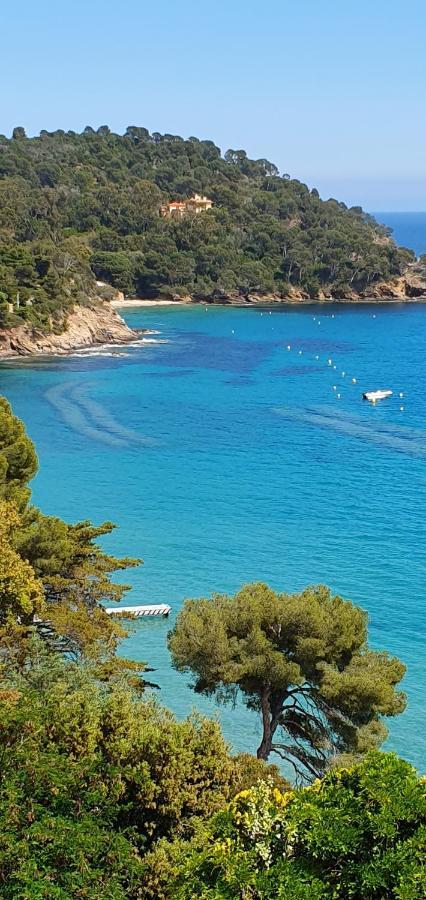 Plein Sud Les Cyclades *